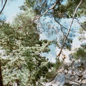  Samaria Gorge